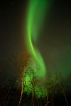 Polarlicht über Utsjoki, Lappland, Finnland