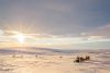 Begegnung mit Rentieren auf der Hochebene in der arktischen Tundra bei Utsjoki.
