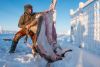 Rentierschlachtung auf traditionelle Art bei -30º C direkt am Scheidegehege bei Utsjoki im äußersten Nordosten Finnalnds