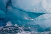 Drei Möwen vor einem Eisberg, Liefdefjord, Spitzbergen
