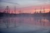 Morgennebel über einem See bei Kuhmo, Finnland