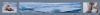 Eisbärtriptychon: Eisbärenalltag - Eisbär mit Robbenkadaver nahe der Sieben Inseln nörlich von Spitzbergen.
ACHTUNG: Dieses Bild wird in einer streng limitierten Auflage von 12 Exemplaren vertrieben.
