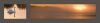 Schwanentriptychon: Höckerschwan (links) und stratende Singschwände (rechts) auf einem See bei Himmerki in der Nähe von Posio, Lappland, Finnland.
ACHTUNG: Dieses Bild wird in einer streng limitierten Auflage von 12 Exemplaren vertrieben.